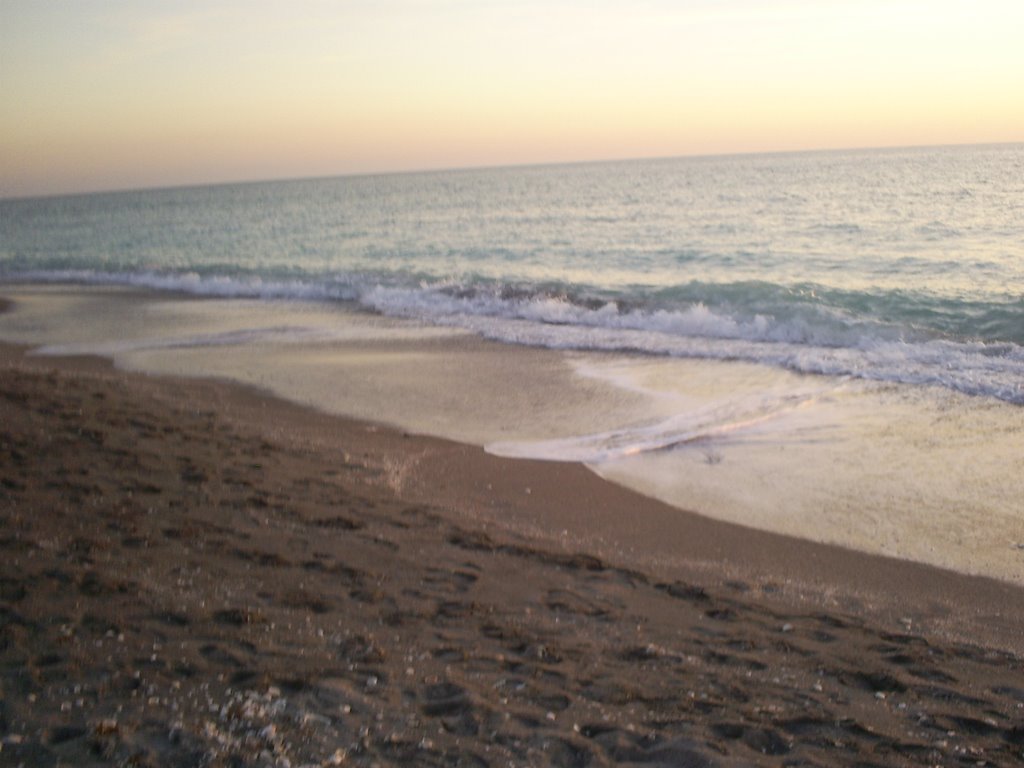 Turtle Beach