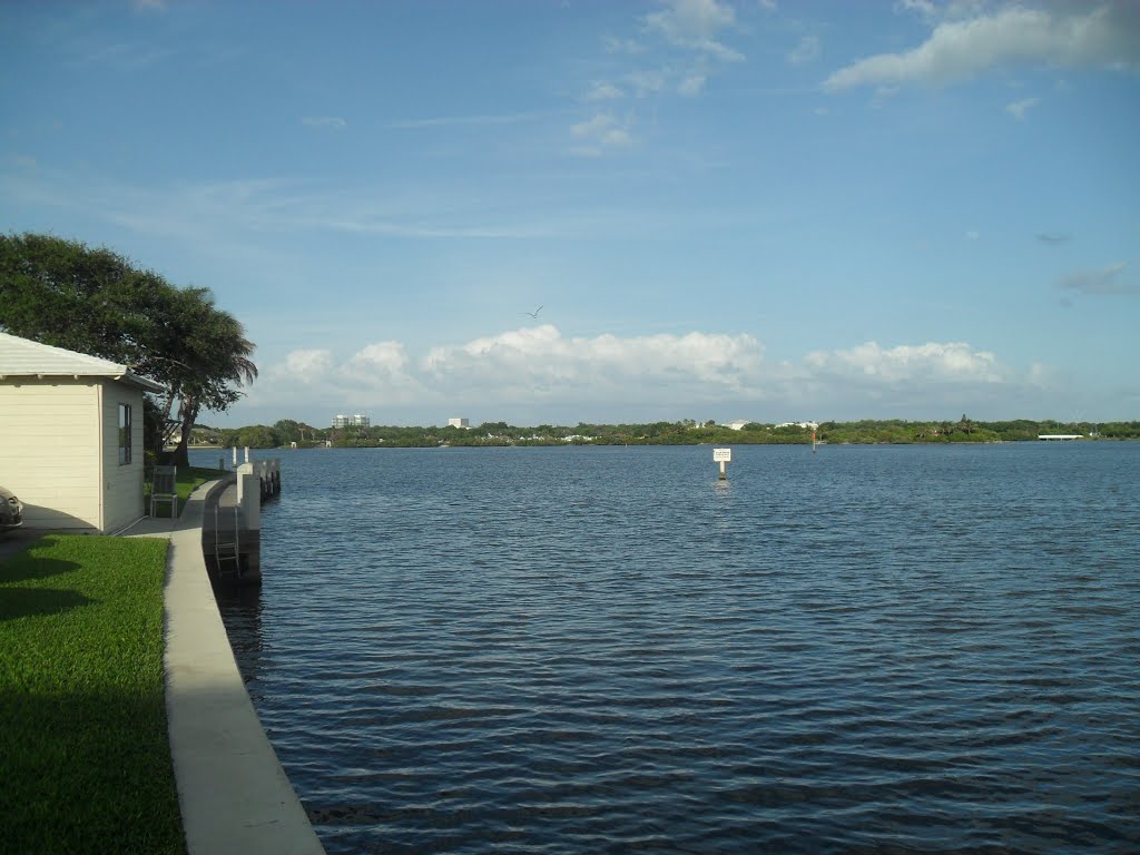 Saw a porpoise while facing east toward Veterans Island