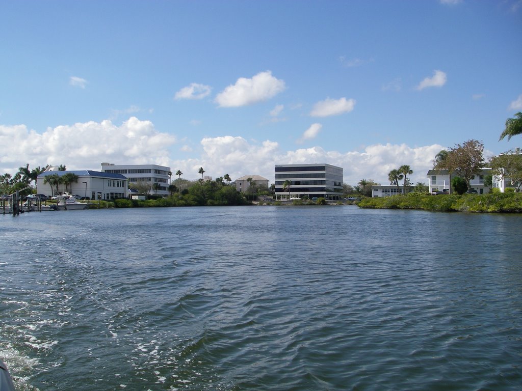 Royal Palm Pointe basin