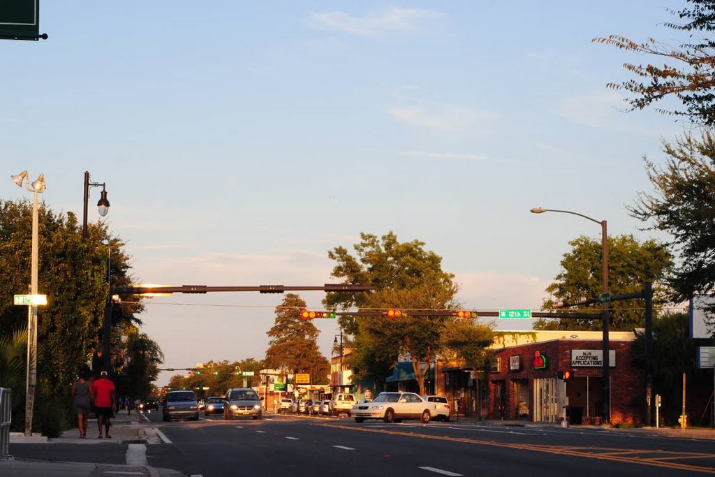 Late Summer Evening - Gainesville, Florida