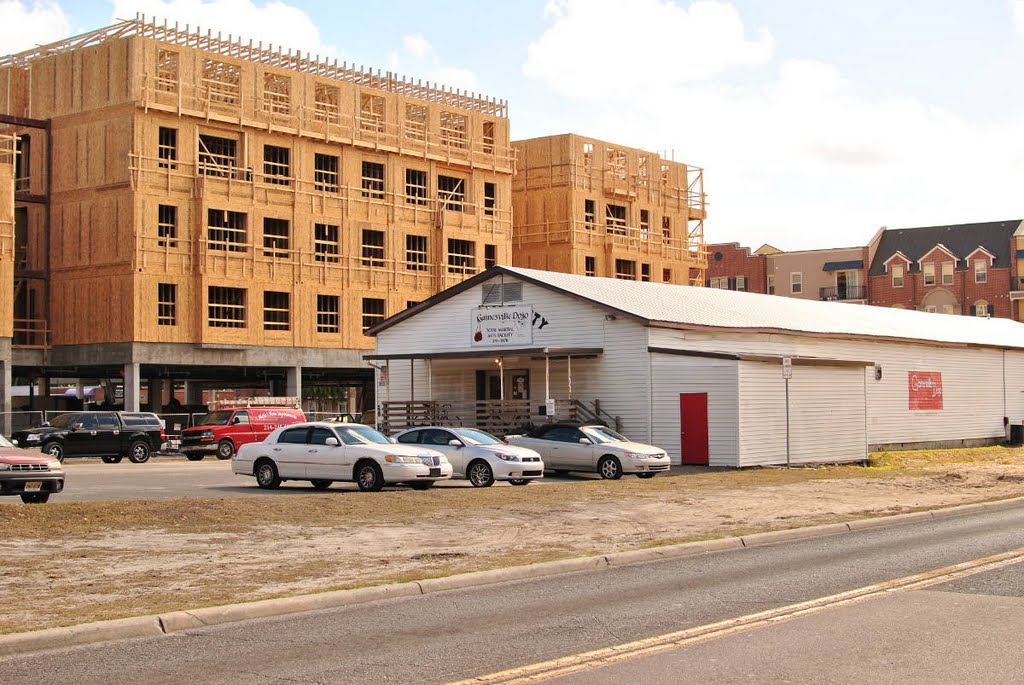 Gainesville Dojo