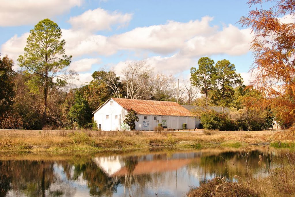 Near Downtown Gainesville in December