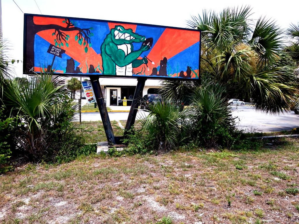 Beware of the Gator