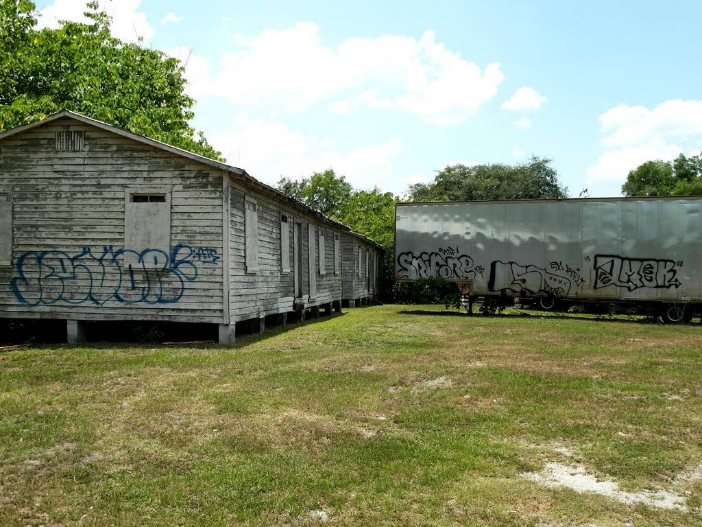 On the Margins - Gainesville, Florida