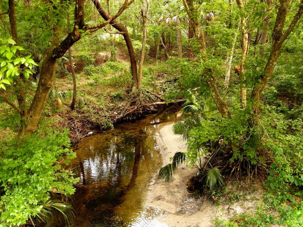 Gainesville Creek - Gainesville - Hawthorne Trail