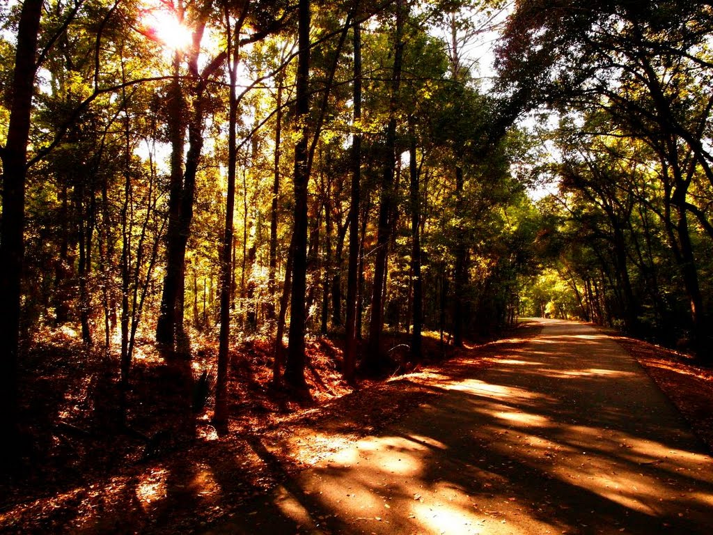 Gainesville-Hawthorne Trail