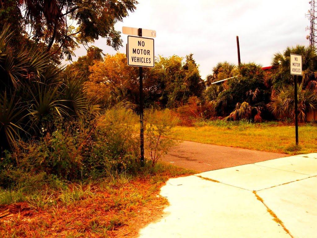 Gainesville - Hawthorne Bike Trail