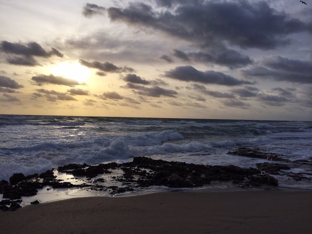 Boynton Beach FL, USA