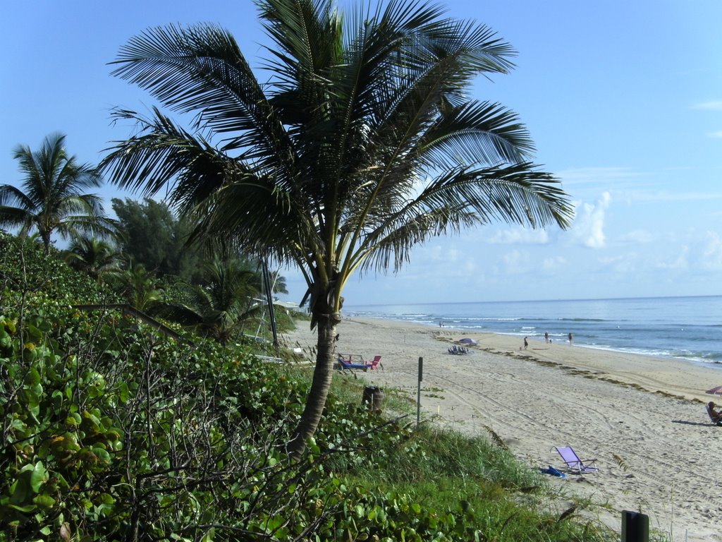 Gulfstrea,FL