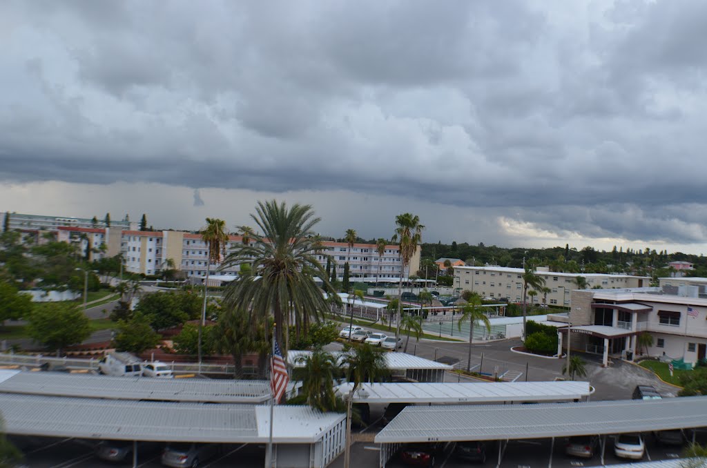 Gulf Port , Florida.