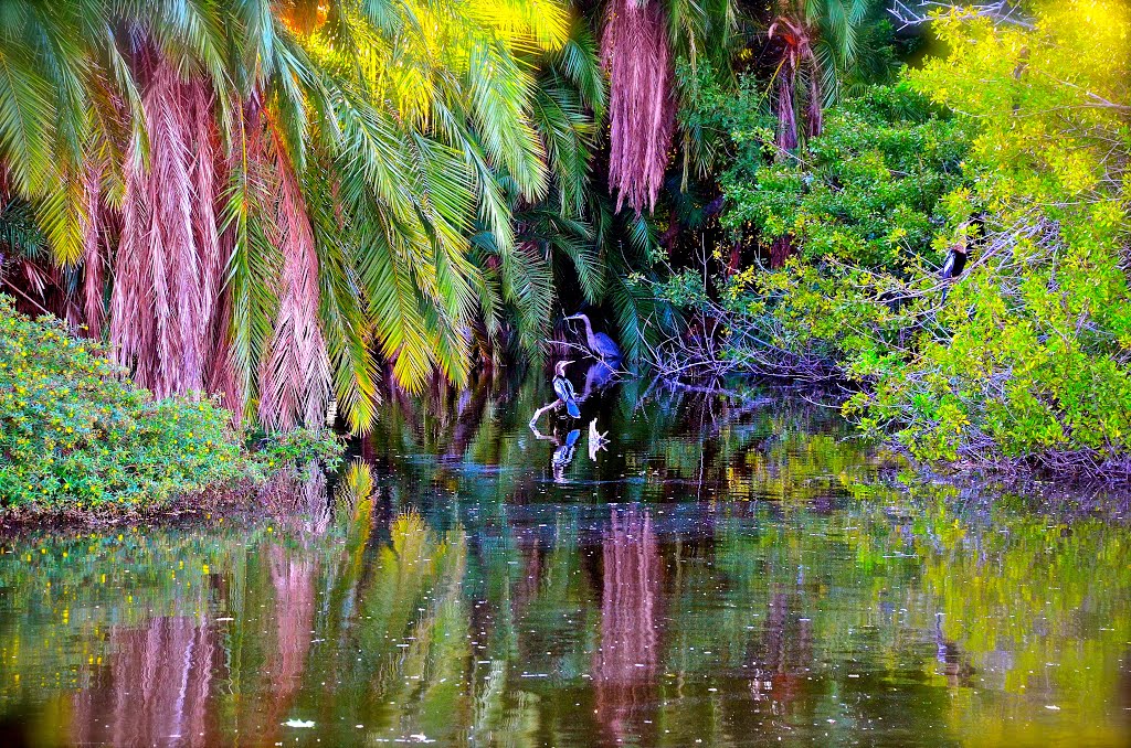 PASADENA YACHT & COUNTRY CLUB, FL, USA