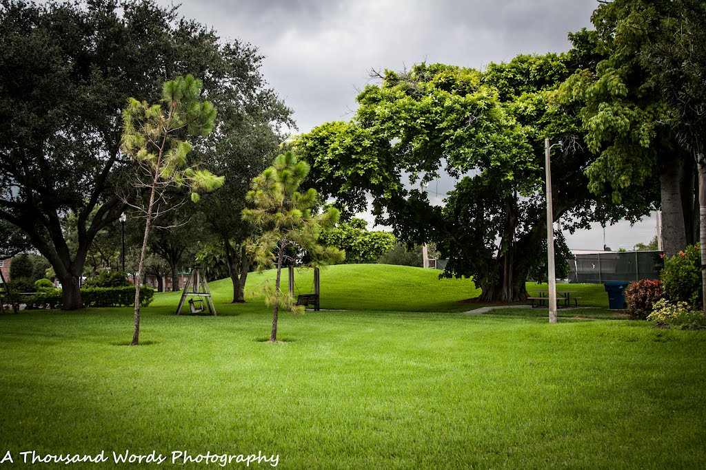 City Park