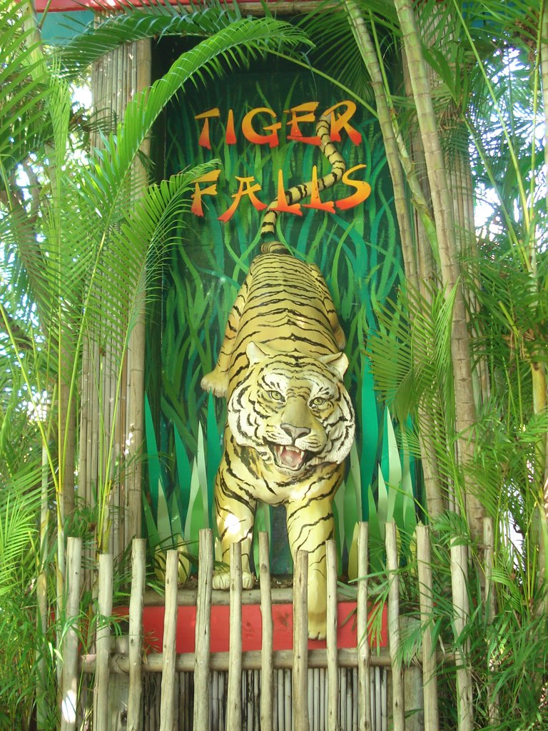 Tiger Falls at the Palm Beach Zoo