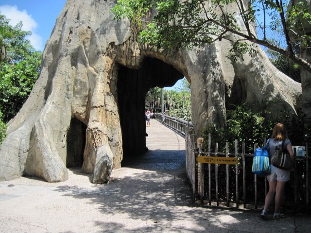 walk thru the rock