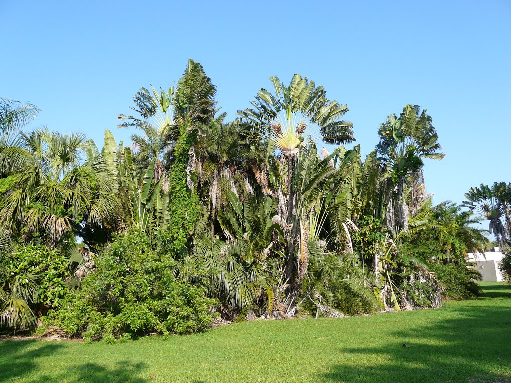 Dreher Park landscape