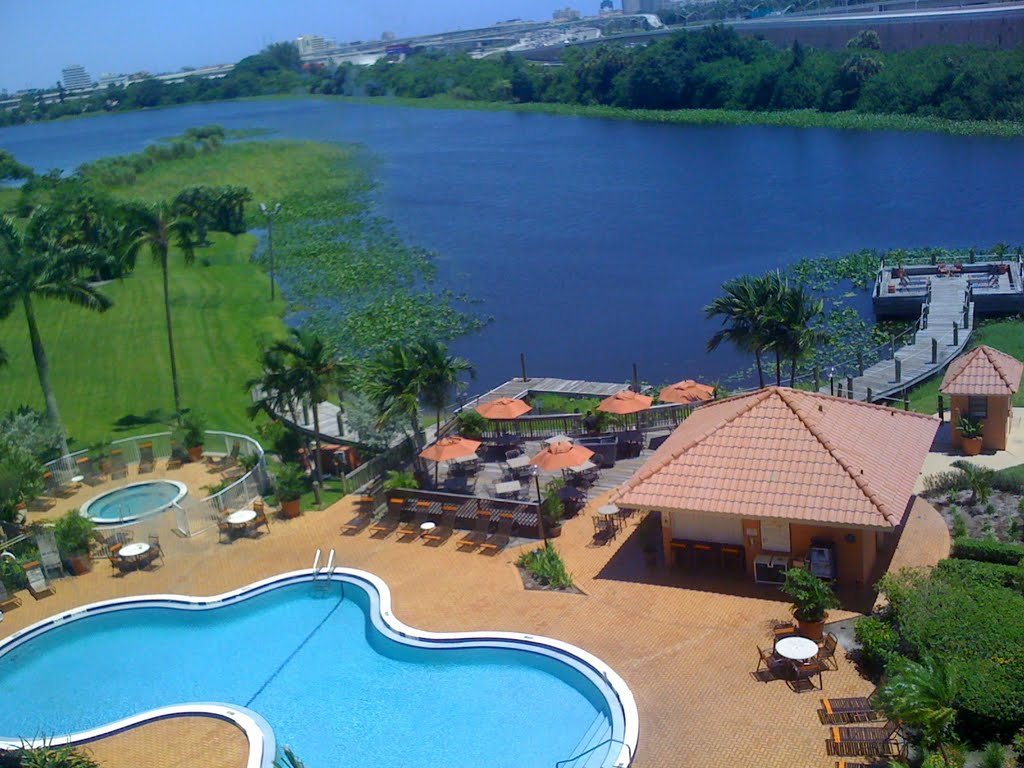 Hilton airport hotel