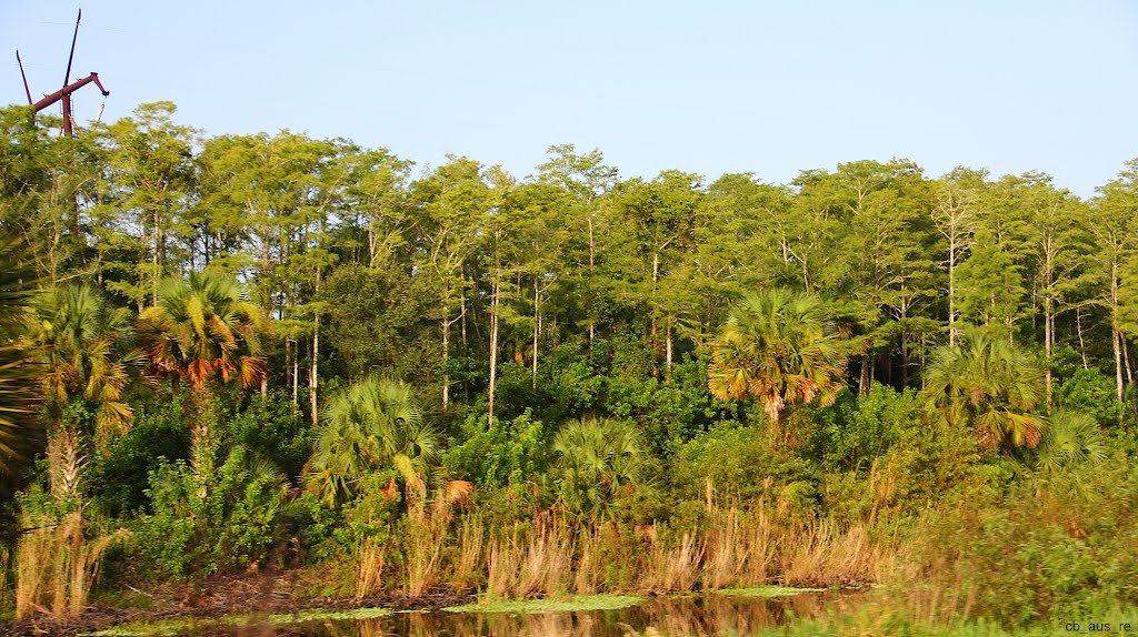 Highway 95, Palm Beach County, Florida
