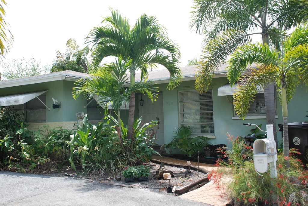 Florida HOuse