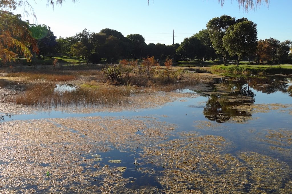 Dreher Park in West Palm Beach