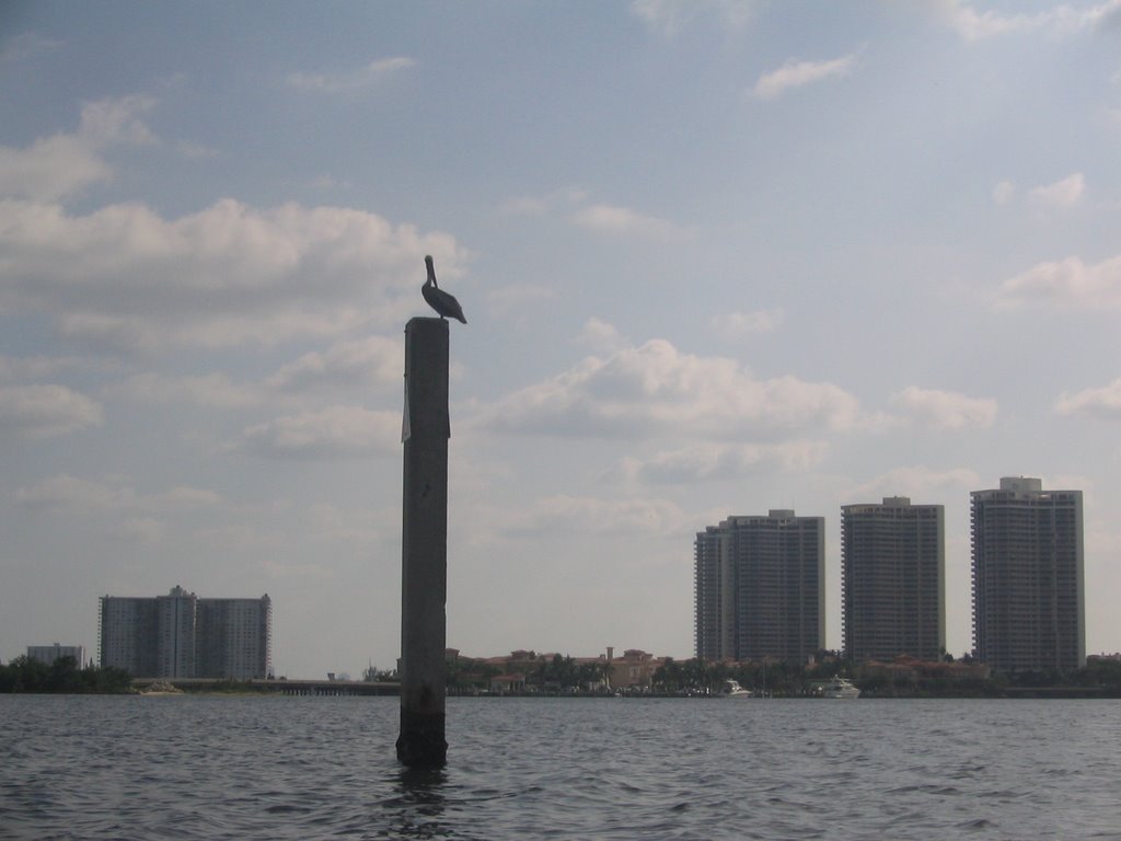 Dumfoundling Bay