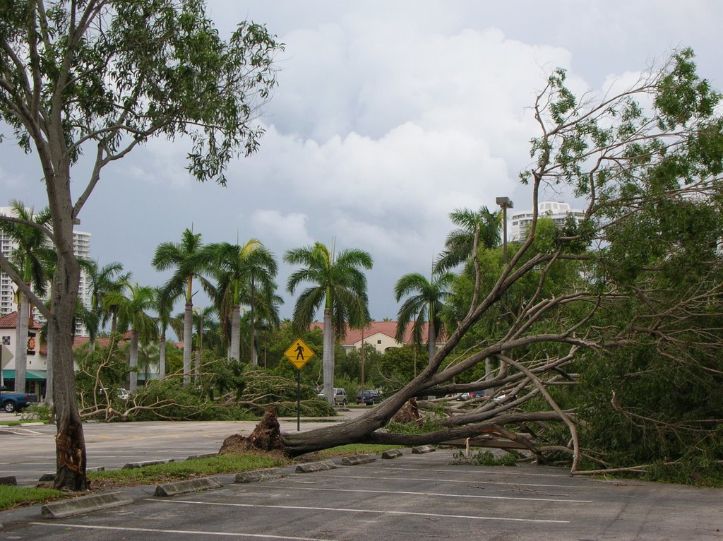 Waterways Shops after Katrina, Aventura FL