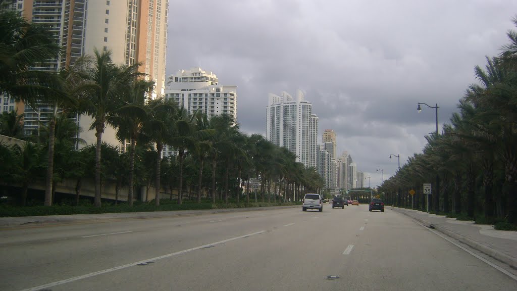 Collins Ave.