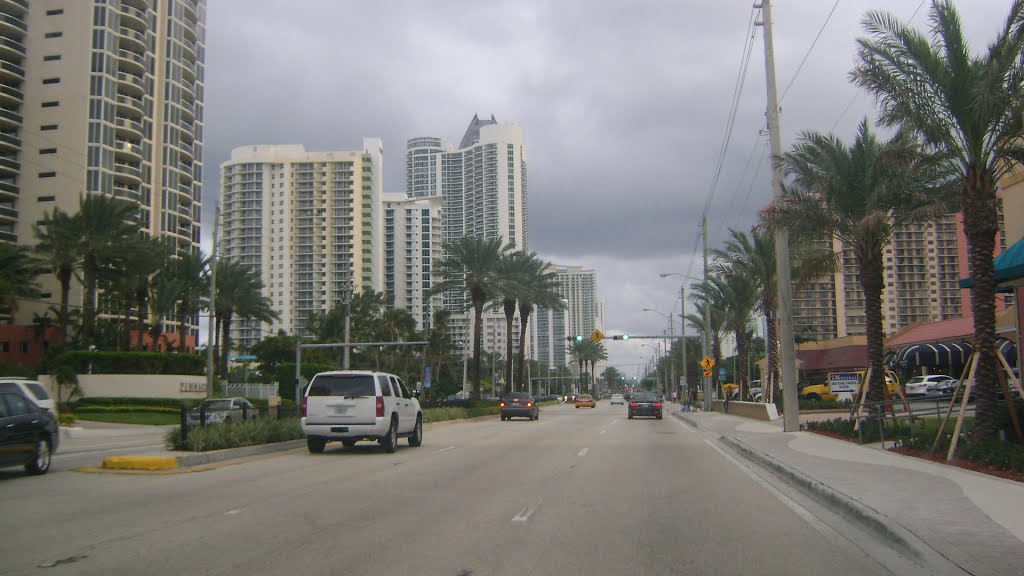 Collins Ave.
