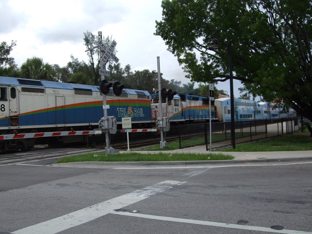rail rood
