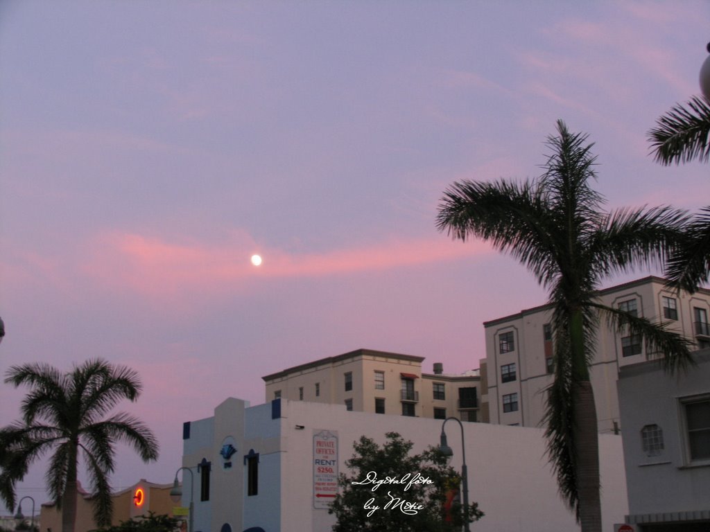 Harrison Street