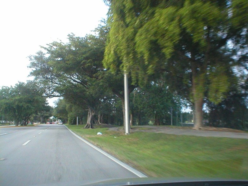 Going N. on S. Park Rd., Hollywood FL.