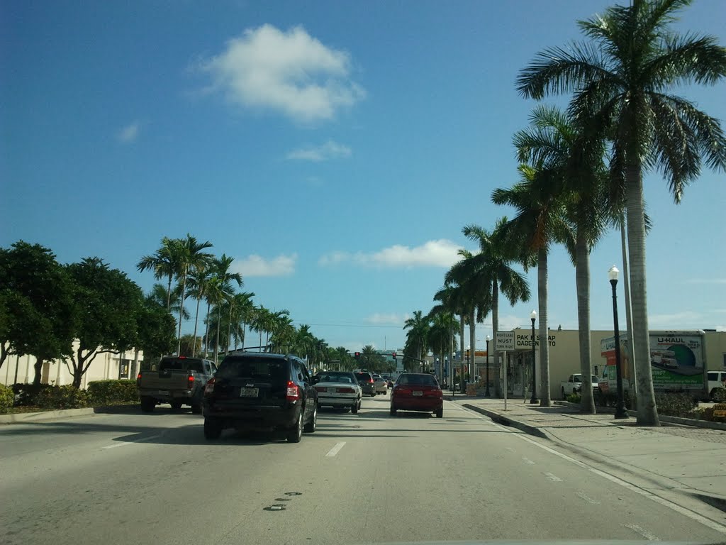 Hollywood FL