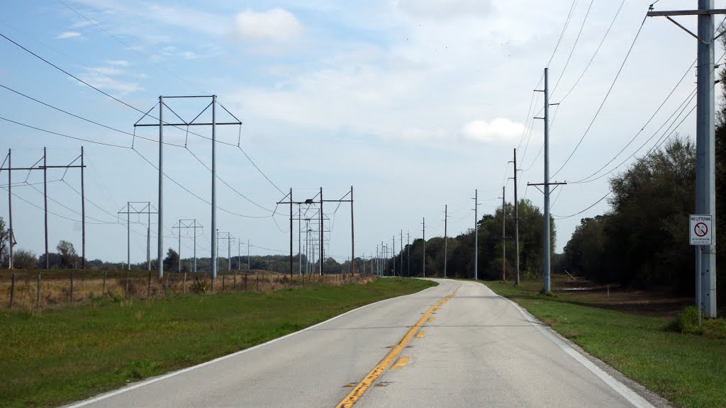 2014 02-25 Florida - Old Bartow, Eagle Lake Rd