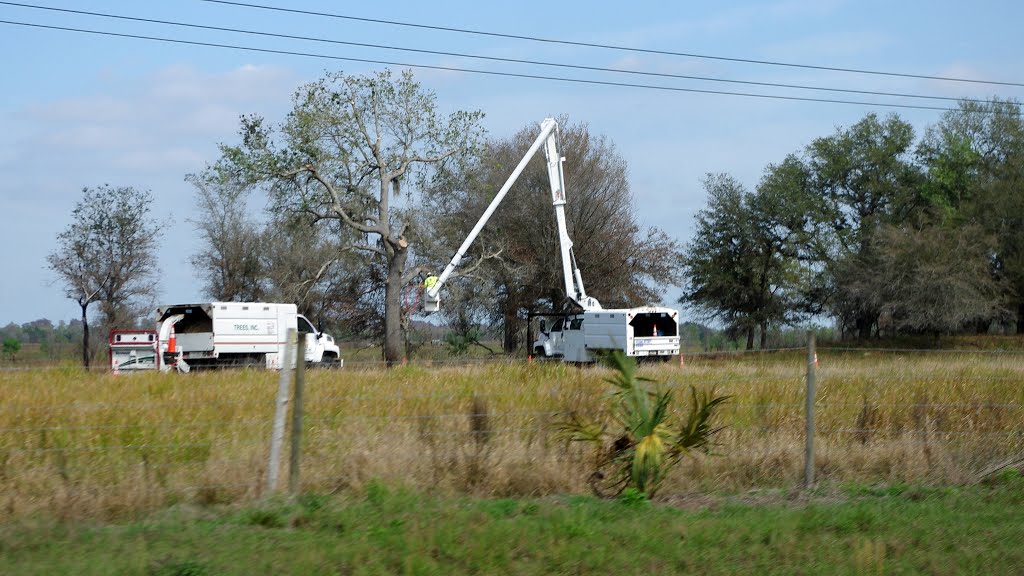 2014 02-25 Florida - Old Bartow, Eagle Lake Rd