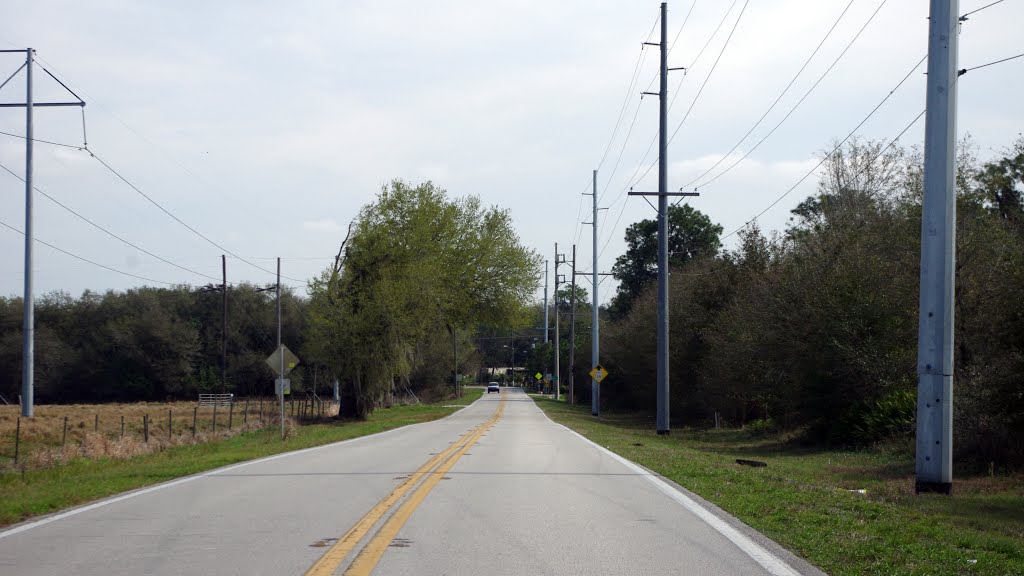 2014 02-25 Florida - Gordonville - Old Bartow, Eagle Lake Rd