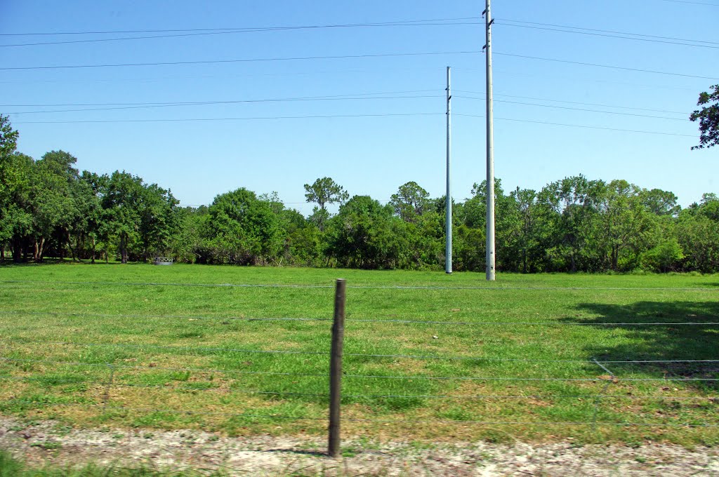 2014 05-23 Florida