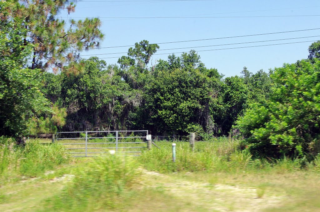 2014 05-23 Florida