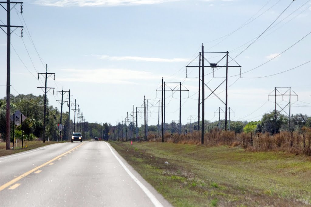 2012, Bartow, FL - Old Bartow Lake Rd - nests
