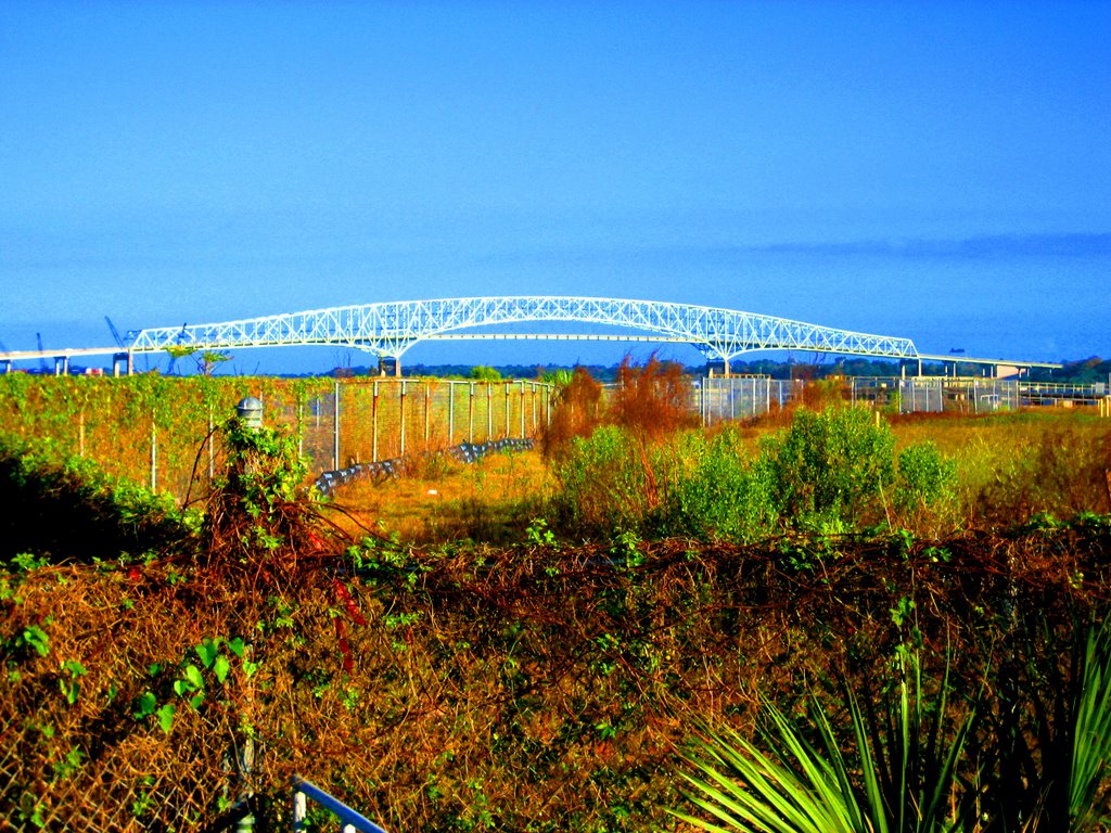 The Hart Bridge from the school board building
