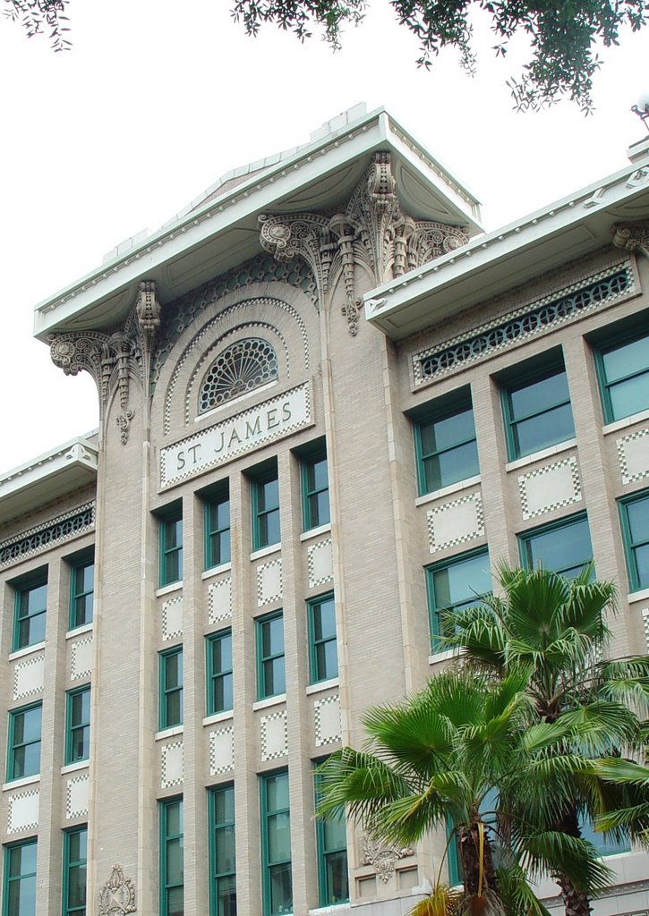 1911 St James building-Cohen Bros department store, Jacksonville Fla (5-2007)