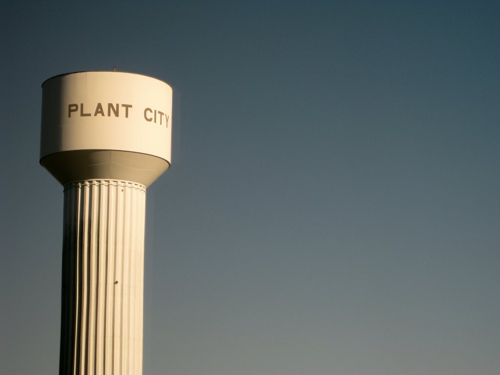 Plant City Water Tower