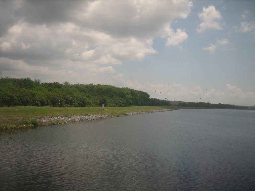 lake near Tampa