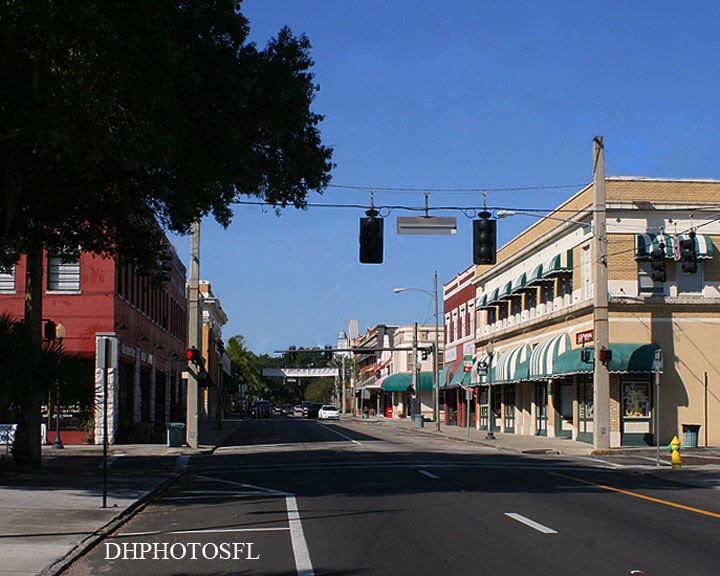 PLANT CITY   FL  DHPHOTOSFL