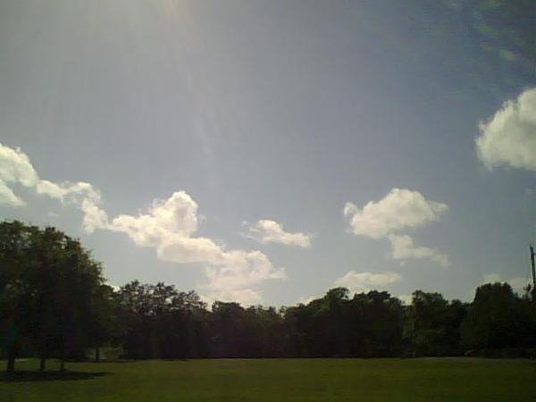 Florida Sky