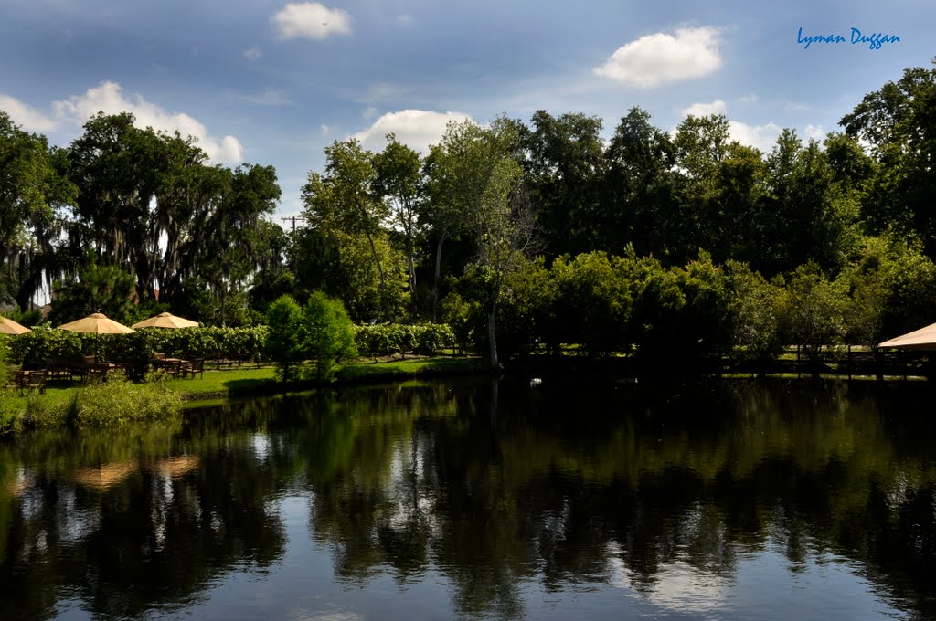 Keel & Curley Winery, Lake