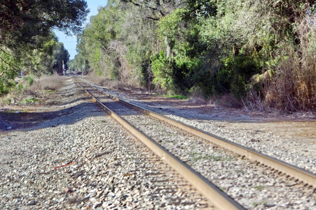 2012, Along Rte 60 - railroad tracks