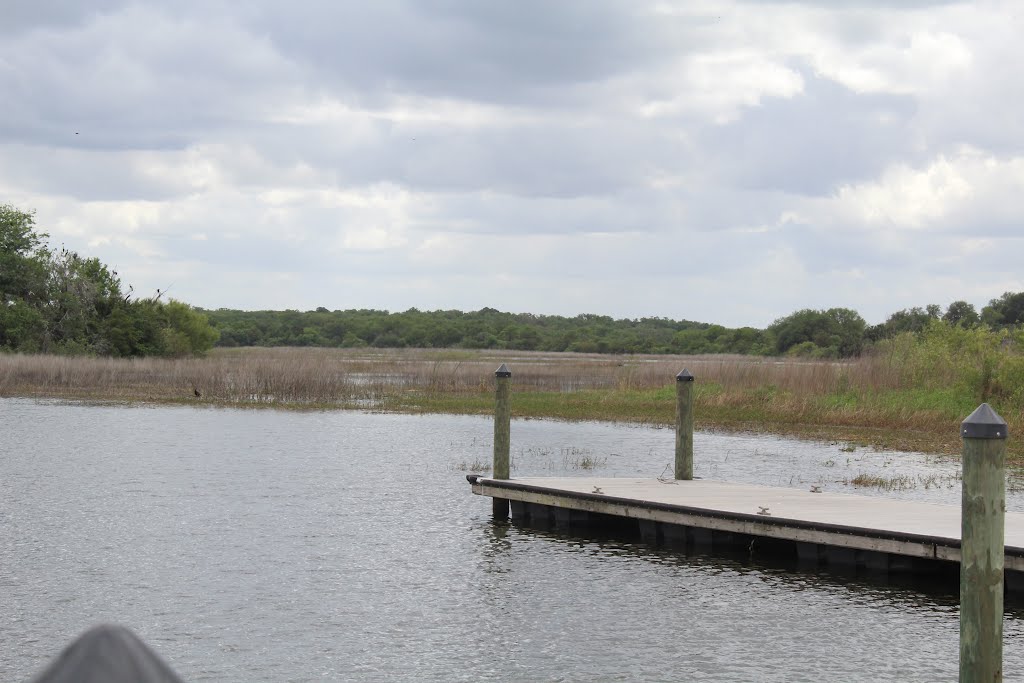 Medard Park near Brandon FL