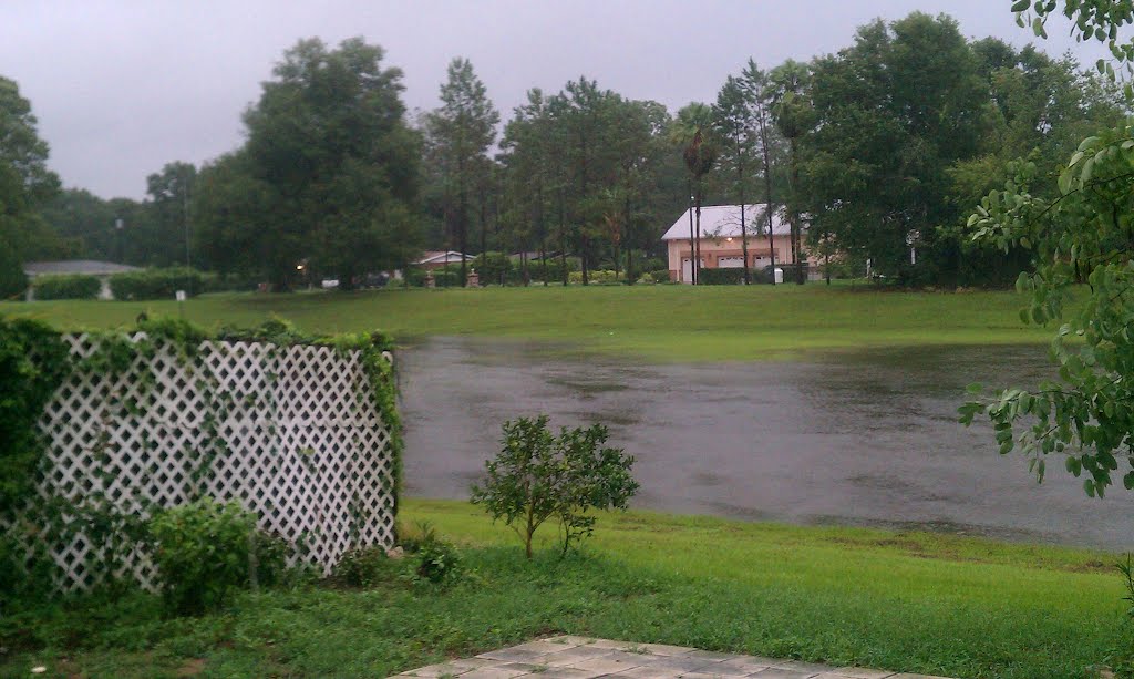Debbys Waters