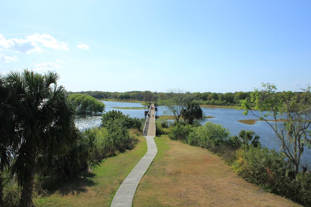 View from the Observation Tower