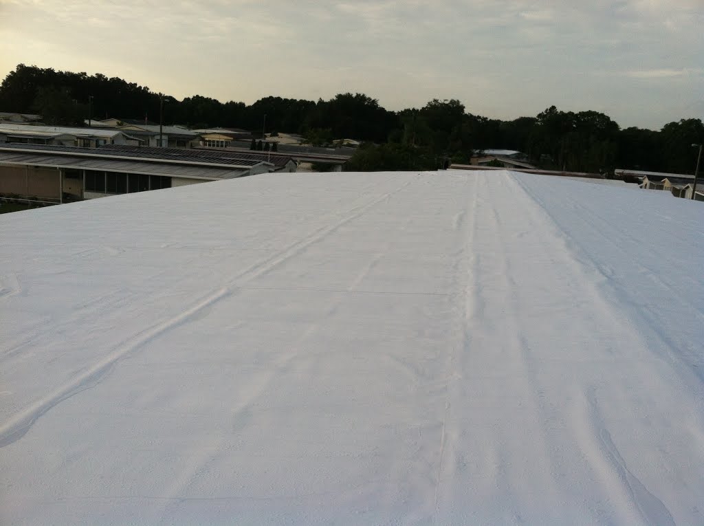 Plant City Florida Roof
