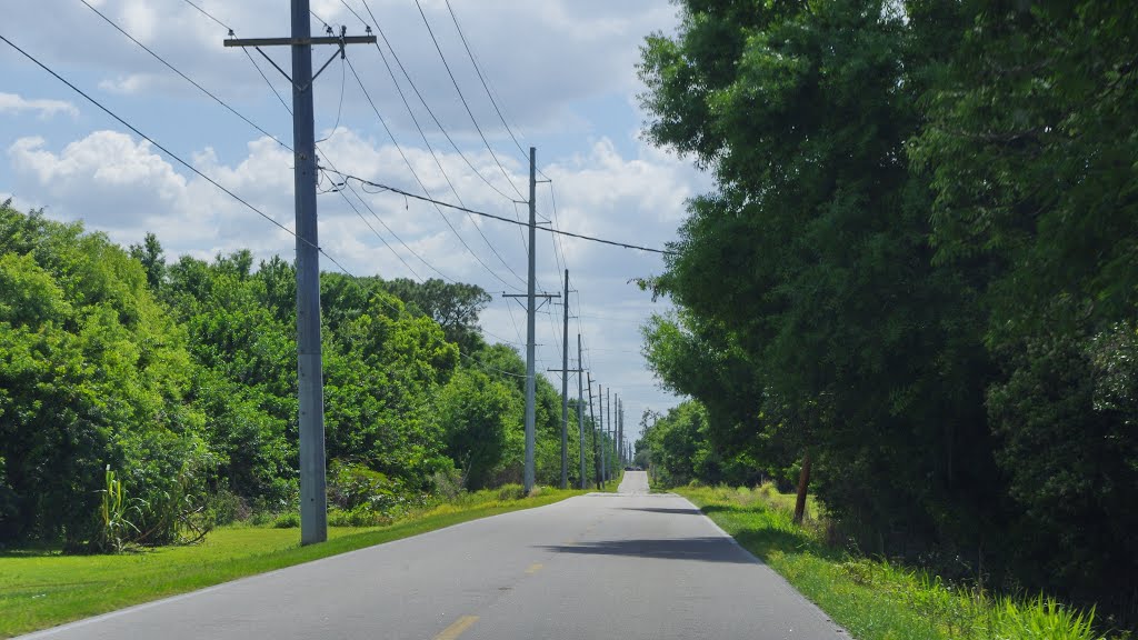 2014 04-12 Winter Haven, Florida - Eagle Lake Rd.